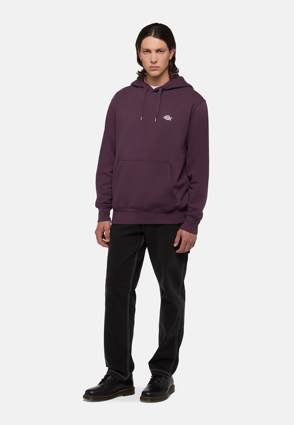 Dickies Summerdale Hoodie Uomo - 3