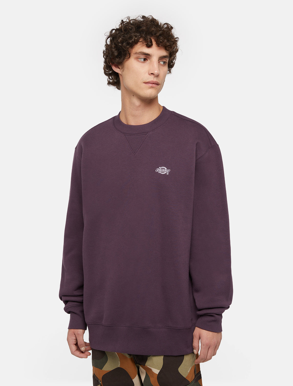 Dickies Summerdale Sweatshirt Uomo - 1