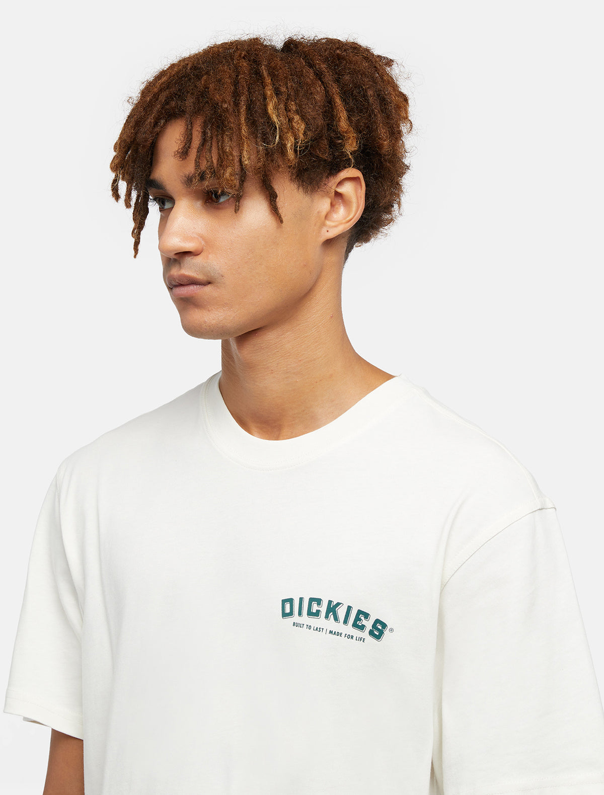 Dickies Buldier T-shirt Uomo - 3